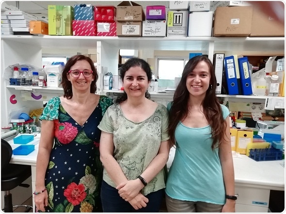 Researchers discover a molecule that regulates tumor development in different types of cancers