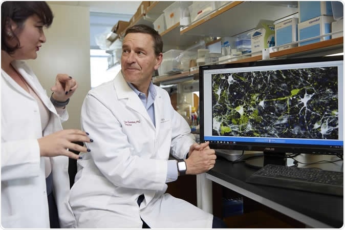 Clive Svendsen, PhD, director of the Cedars-Sinai Board of Governors Regenerative Medicine Institute, right, and Nur Yucer, PhD, a project scientist, discuss a microscope image of dopamine neurons. Image Credit: Cedars-Sinai