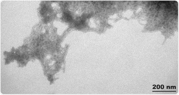 TEM of Human Recombinant Superoxide dismutase Protein Preformed Fibrils (SPR-470).