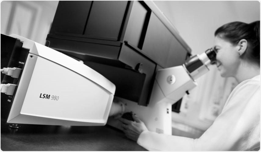 LSM 980 Confocal Microscope LSM 980 Confocal Microscope