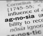 What is Agnosia?