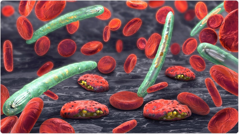 Plasmodium Causing Malaria