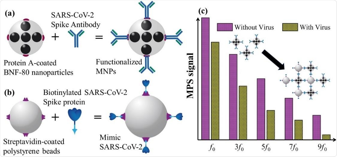 Schematic of functionalized MNPs, (b) schematic of mimic SARS-CoV-2, (c) Schematic of MPS signal with and without mimic virus.