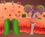 Role of Membrane Proteins in Physiology