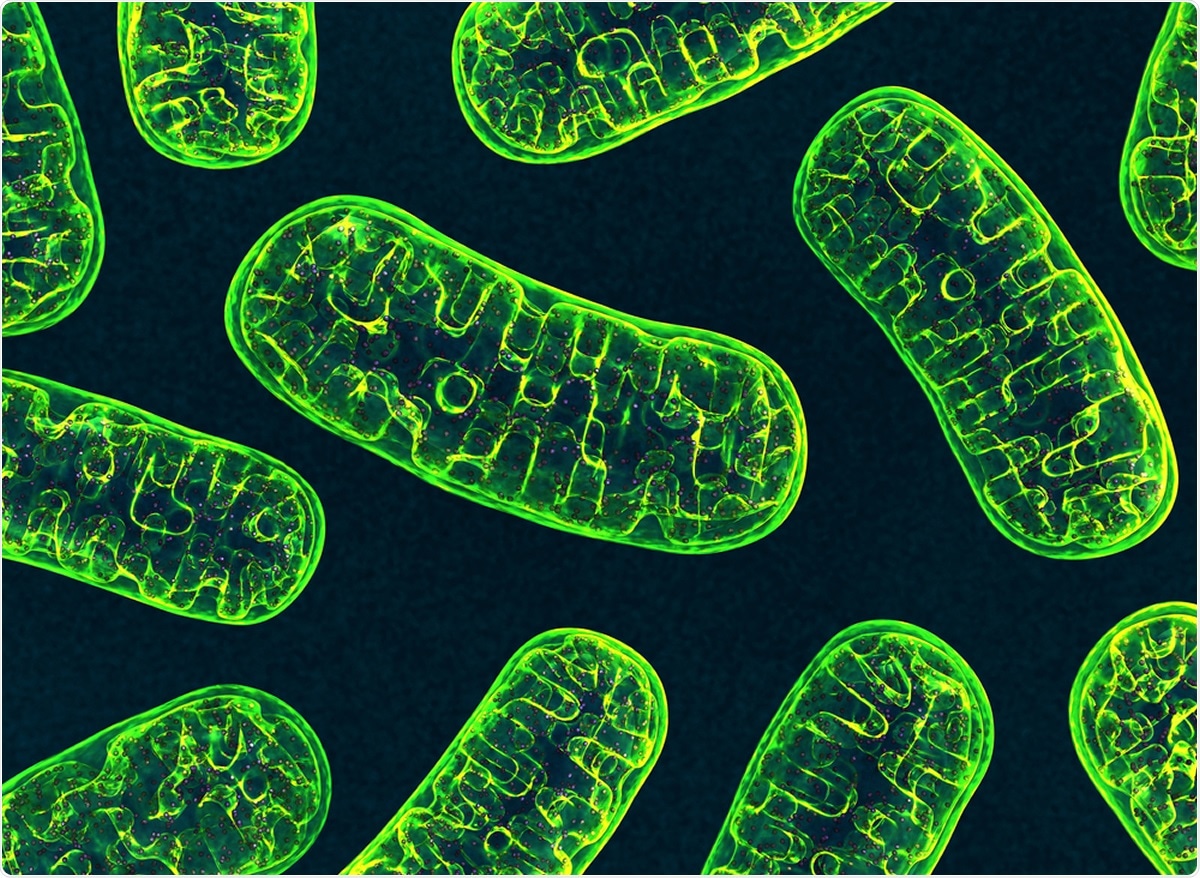 Study: A novel viral protein translation mechanism reveals mitochondria as a target for antiviral drug development. Image Credit: 3d_man / Shutterstock