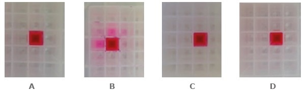 Impact of optimized Luer tip penetration on adjacent well contamination when processing SPE plates under different conditions. (A) Vacuum (VacMaster™-96) with optimized spacer. (B) Vacuum (VacMaster™-96) with non-optimized spacer. (C) Positive pressure (Biotage® Extrahera™). (D) Positive pressure (Biotage® Pressure + 96). Solvent: MeOH containing dye as marker.
