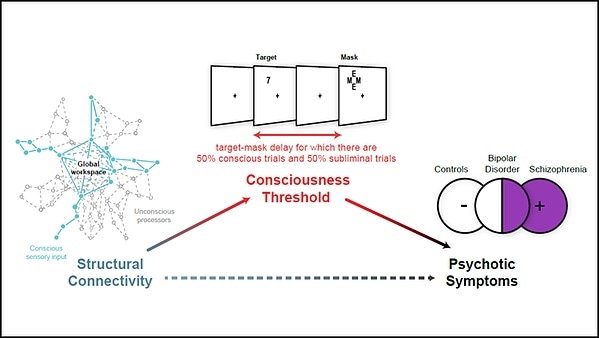 Altered white matter connectivity linked with disruption of conscious access in psychosis