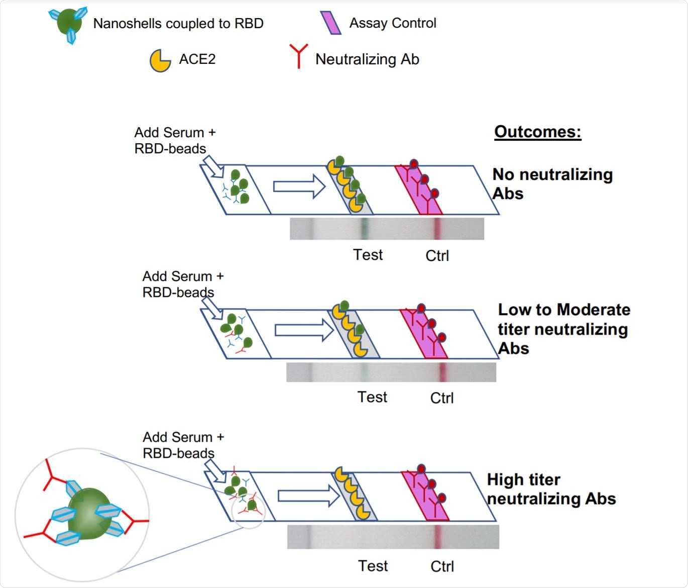 Schematic of Neutralization LFA