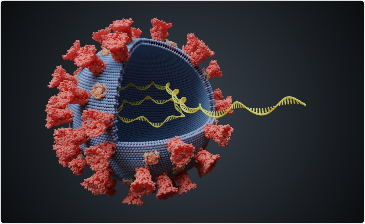 Study: Screening for high amounts of SARS-CoV-2 identifies pre-symptomatic subjects among healthy healthcare workers. Image Credit:  / Shutterstock
