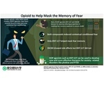 Researchers find the potential of opioid drug to help mask fear memory