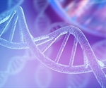 Supercoiled Minicircle DNA Analysis: A Quality Assessment Based on Chromatographic Analysis