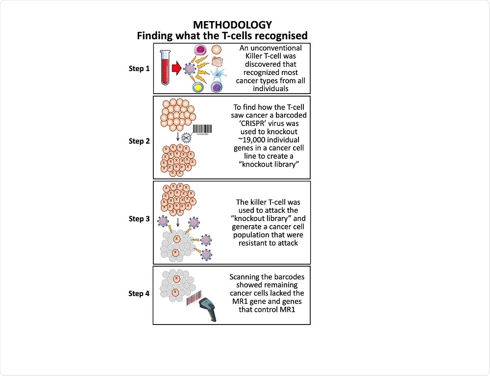 T-Cell Methodology