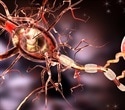 Restoring brain energy balance reverses advanced Alzheimer’s disease in mouse models
