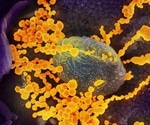 Immunotherapy could be answer to treating novel coronavirus