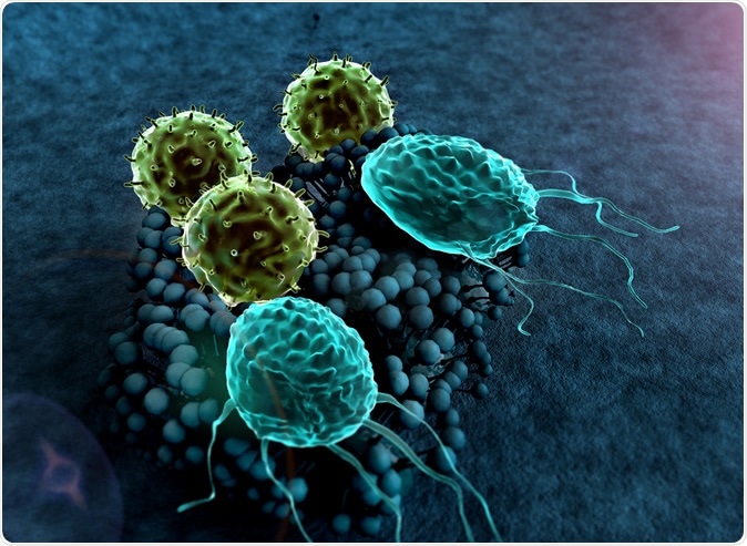 T-lymphocytes attack a colony of fungi. Image Credit: UGREEN 3S / Shutterstock