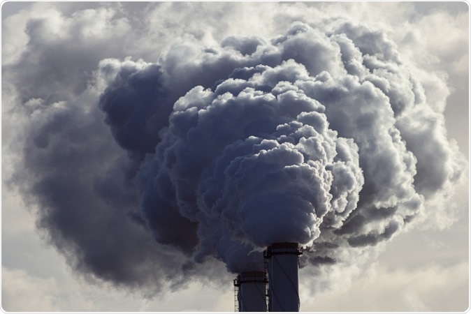 Association Between Cardiovascular Disease and Long-term Exposure to Air Pollution With the Risk of Dementia. Image Credit:  VanderWolf Images / Shutterstock