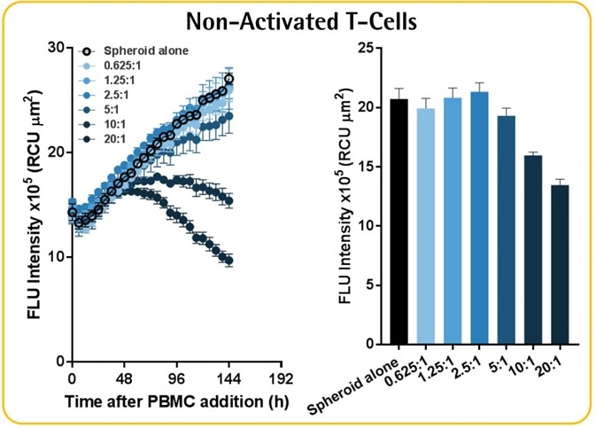 Immune Cells Killing 3D Tumor Spheroids in 96-Well Live-Cell Assay