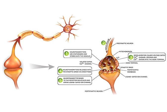 Recent Research Into Neurodegenerative Diseases Recent Research Into Neurodegenerative Diseases
