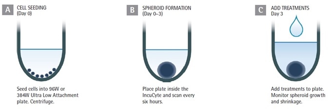 Assay Workflow. Assay Workflow.