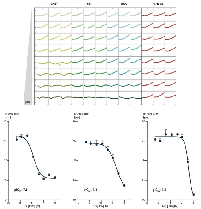 Effect of CMP, CIS and OXA on growth of SKOV3 cells in a 3D spheroid assay. SKOV3 cells were plated at a density of 5,000 cells/well and spheroid allowed to form (72 h). Cells were then treated with serial compound dilutions and kinetics of spheroid growth and shrinkage were obtained. Plateview shows the individual well Largest Brightfield area (µm2) over time. Concentration response curves represent the Largest Brightfield area (µm2) at 204 h post-treatment. Data were collected over 240 h period at 6 h intervals. Each data point represents mean ±SEM, Effect of CMP, CIS and OXA on growth of SKOV3 cells in a 3D spheroid assay. SKOV3 cells were plated at a density of 5,000 cells/well and spheroid allowed to form (72 h). Cells were then treated with serial compound dilutions and kinetics of spheroid growth and shrinkage were obtained. Plateview shows the individual well Largest Brightfield area (µm2) over time. Concentration response curves represent the Largest Brightfield area (µm2) at 204 h post-treatment. Data were collected over 240 h period at 6 h intervals. Each data point represents mean ±SEM,