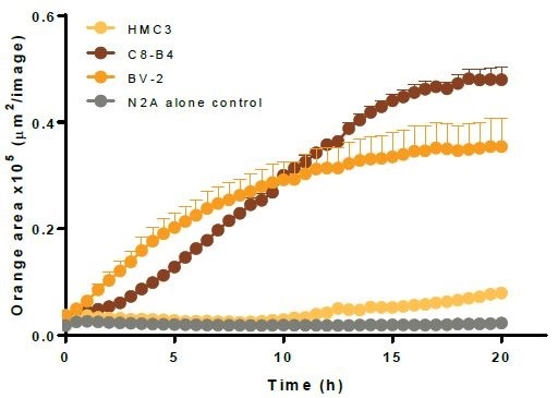 Kinetic Analysis of Microglial Function and Morphology