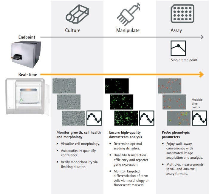 Insight and Accuracy at Every Step IncuCyte® SX1 Live-Cell Analysis System