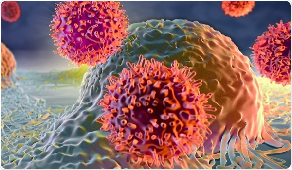 Research Areas IncuCyte® SX1 Live-Cell Analysis System