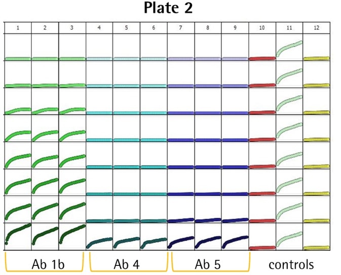 Cancer Drug Discovery Antibody Internalization Assays