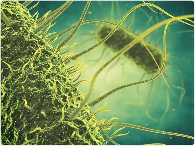 Salmonella bacteria 3d illustration. Image Credit: nobeastsofierce / Shutterstock