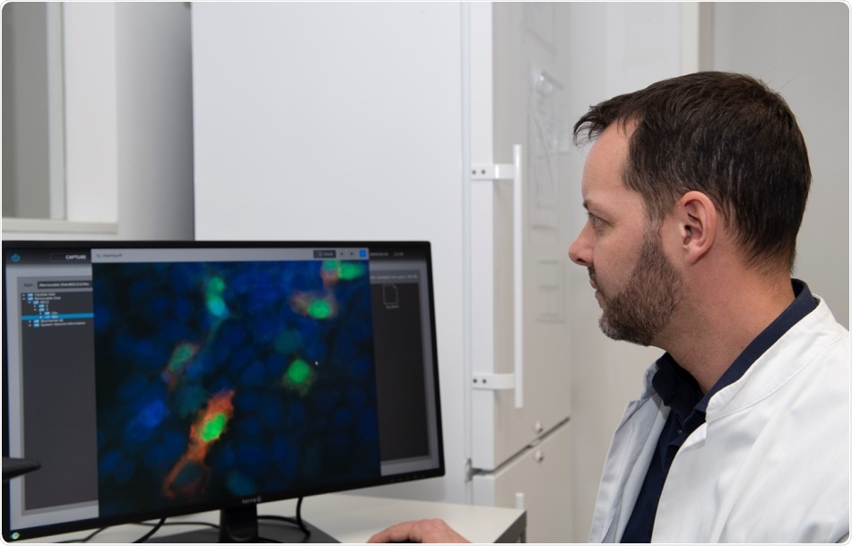 Researchers identify genetic mechanisms that produce radioresistance in cancer cells