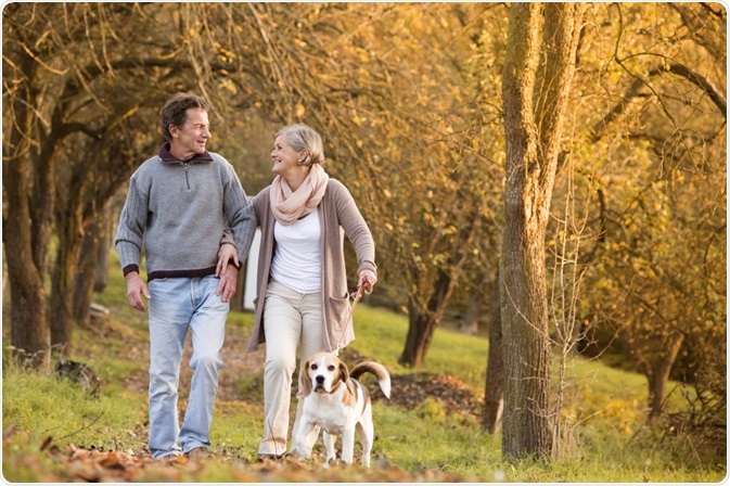 Elderly Couple Dog Walking Elderly Couple Dog Walking