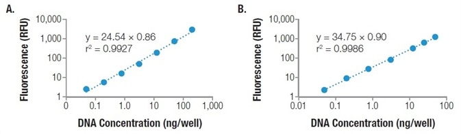 Quantitation of K562 human genomic DNA standard (Cat.# E4931) using the MANTIS® Liquid Handler to dispense the QuantiFluor® dsDNA dye working solution in 96-well plate format (Panel A) and 384-well plate format (Panel B). Fluorescence was measured on a GloMax® Discover System and unknowns were interpolated from a power regression standard curve. Image Credit: FORMULATRIX