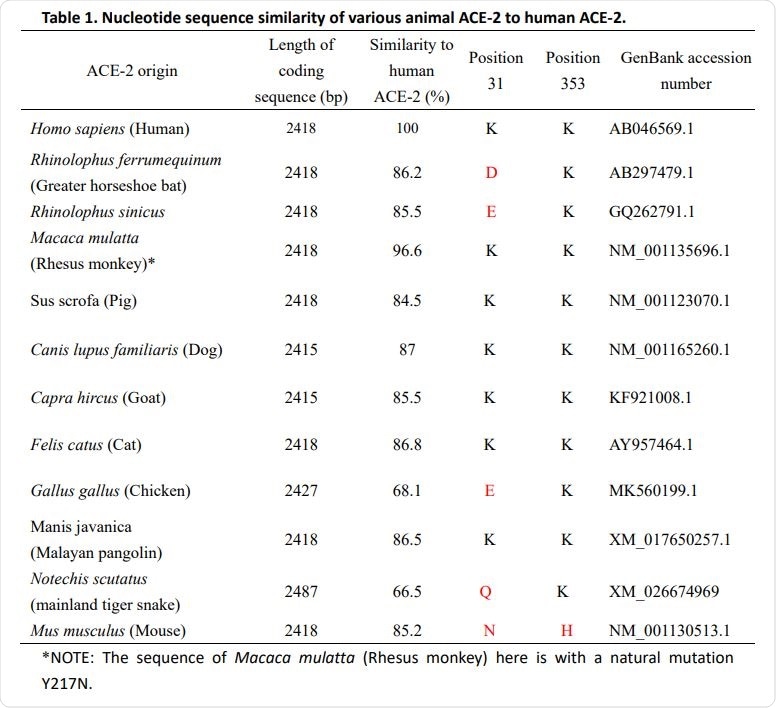 Nucleotide sequence similarity of various animal ACE-2 to human ACE-2.