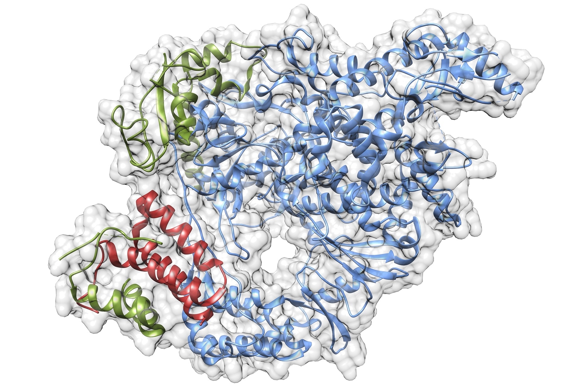 Scientists aim to understand the biology of SARS-CoV-2 virus to enable drug development