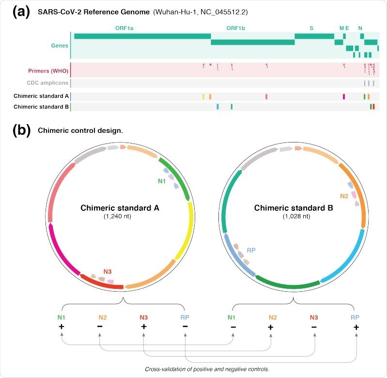 Design of chimeric controls for SARS-CoV-2. (a) Genome browser view of the SARS-CoV-2 genome (green) showing WHO-published real-time RT-PCR primer binding sites (red). The expected amplicons for the CDC test are shown in darker grey. The other targeted regions were exclusively partitioned between chimeric A/B standards. (b) The different targeted regions for standards A and B were shuffled and joined together to form chimeric sequences. The paired design of chimeric A/B standards, where a target in A is absent in B (and vice versa), enables the synthetic RNA transcripts to simultaneously act as positive and negative controls for the real-time RT-PCR primer/probe sets. this enables internal cross validation of positive and negative controls between standards A and B. The vector backbone was omitted from the representation of the chimeric A/B standards.