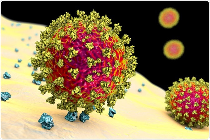 SARS-CoV-2 Virus SARS-CoV-2 Virus