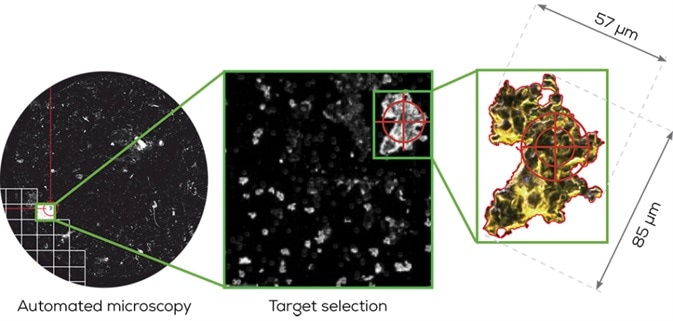Particle Characterization and Analysis: Hound from Unchained Labs