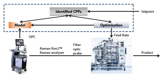 Real-time Glucose Control in Cell Culture Bioprocesses using Raman Technology