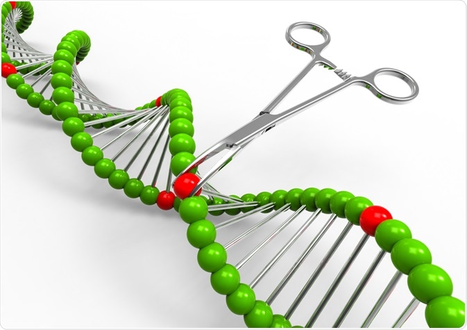 Genetic Manipulation