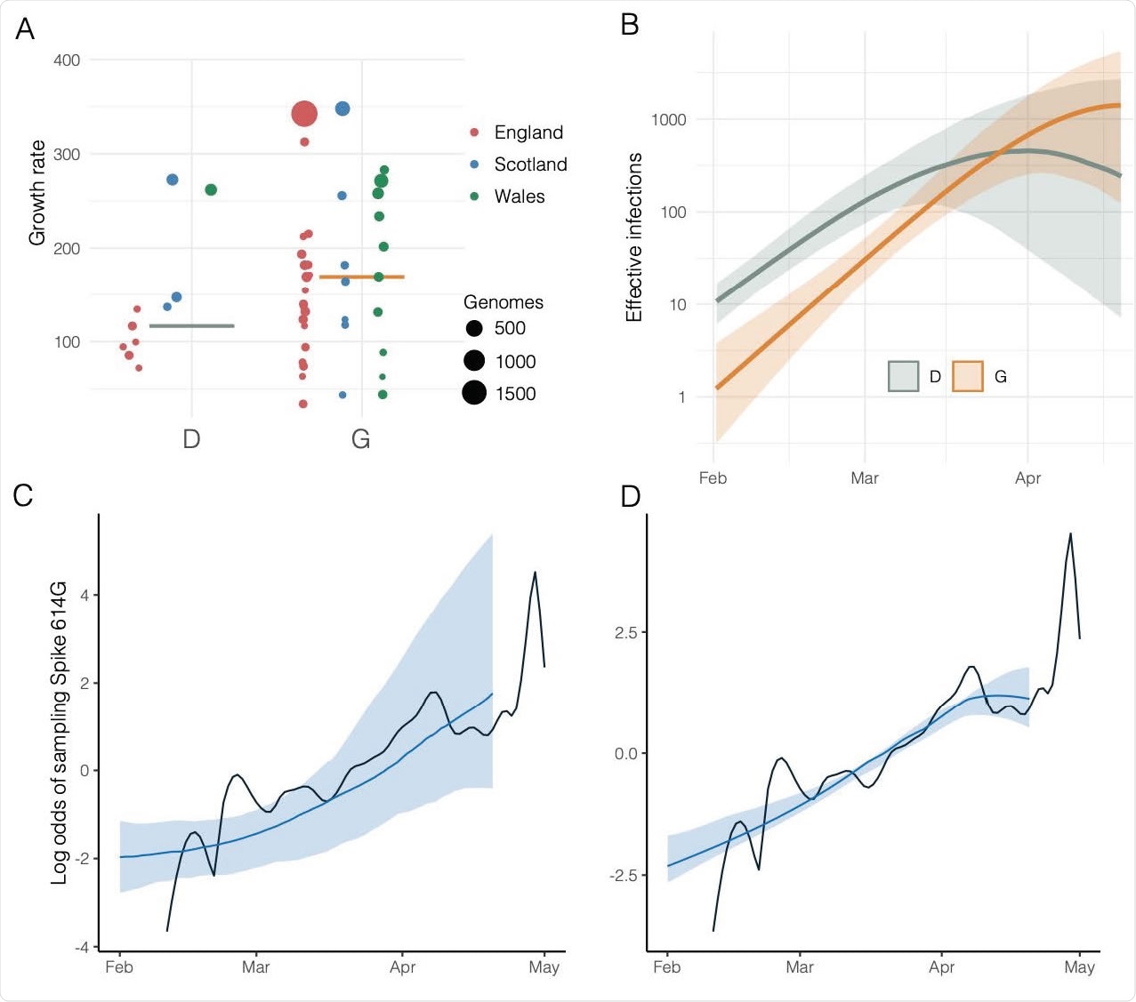 Estimated growth rates, effective infections over time, and estimated versus actual odds of sampling Spike 614G over time. A) Estimated growth rates (1/year) for 48 UK clusters at the estimated TMRCA of each cluster. Size and colour of points indicate the number of samples from each lineage and the country with more than 50% of samples. B) Estimated effective infections for a phylodynamic SEIR model fitted to 200 London sequences and 100 sequences from outside of London. Orange and green show respectively the number of 614G and 614D infections and shaded regions show 95% credible intervals. C) The estimated log odds of sampling 614G over time based on the relative size of 614G and 614D populations shown in panel (B). The shaded region shows the 95% credible interval and the black line shows the empirical log odds of sampling 614G based on a random sample of 1000 sequences. D) As panel (C) and incorporating information about observed odds of sampling 614G over time.