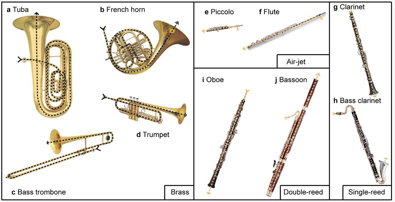 Images of 10 instruments used for the aerosol measurements. Brass instruments include (a) tuba, (b) French horn, (c) bass trombone, and (d) trumpet. Air-jet woodwinds include (e) piccolo and (f) flute. Single-reed woodwinds include (g) clarinet and (h) bass clarinet. Doublereed woodwinds include (i) oboe and (j) bassoon. The dashed line marks the main flow path in each instrument.
