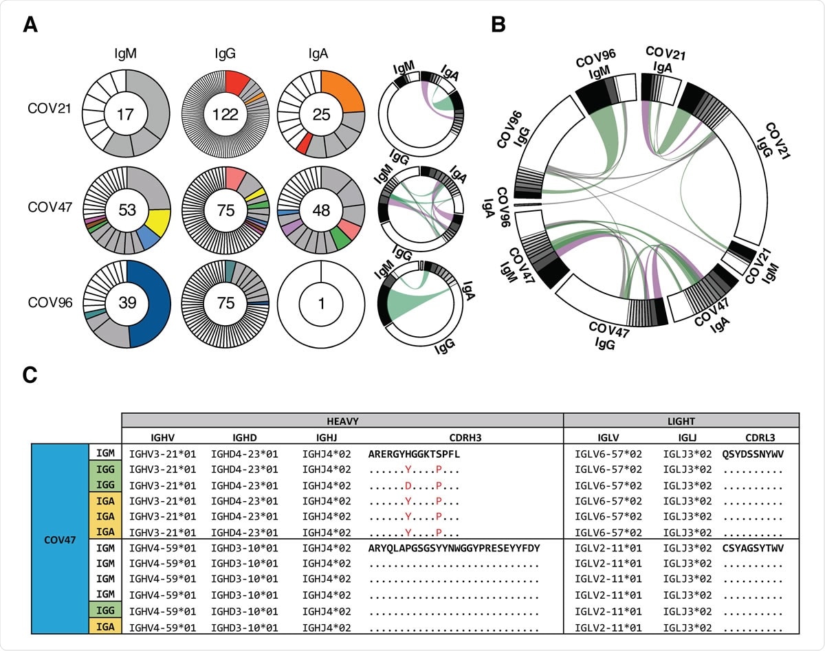Plasma IgA against SARS-CoV-2 RBD. (A) ELISAs measuring plasma IgA reactivity to RBD. Graph shows optical density units at 450 nm (OD, Y axis) and reciprocal plasma dilutions (X axis). Negative controls in black; individuals 21, 47, 96 in blue, red and green lines and arrowheads, respectively (11). (B) Graph shows normalized area under the curve (AUC) for 8 controls and each of 149 individuals in the cohort. Horizontal bar indicates mean values. Black dots indicate the individuals that are 2 STDV over the mean of controls. (C) Subjective Symptom (Sx) severity (X axis) is plotted against the normalized AUC for IgA binding to RBD (Y axis).