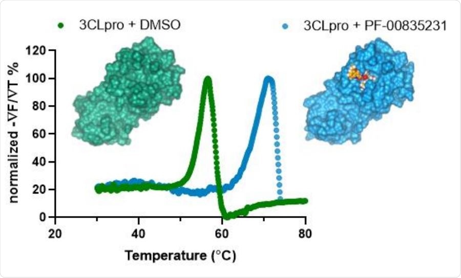 Representative thermal shift binding data of PF-00835231 with SARS-CoV-2 3CLpro. X-ray structures of SARS CoV-2 3CLpro apoenzyme (left) and SARS CoV-2 3CLpro in complex with PF-00835231 (right).