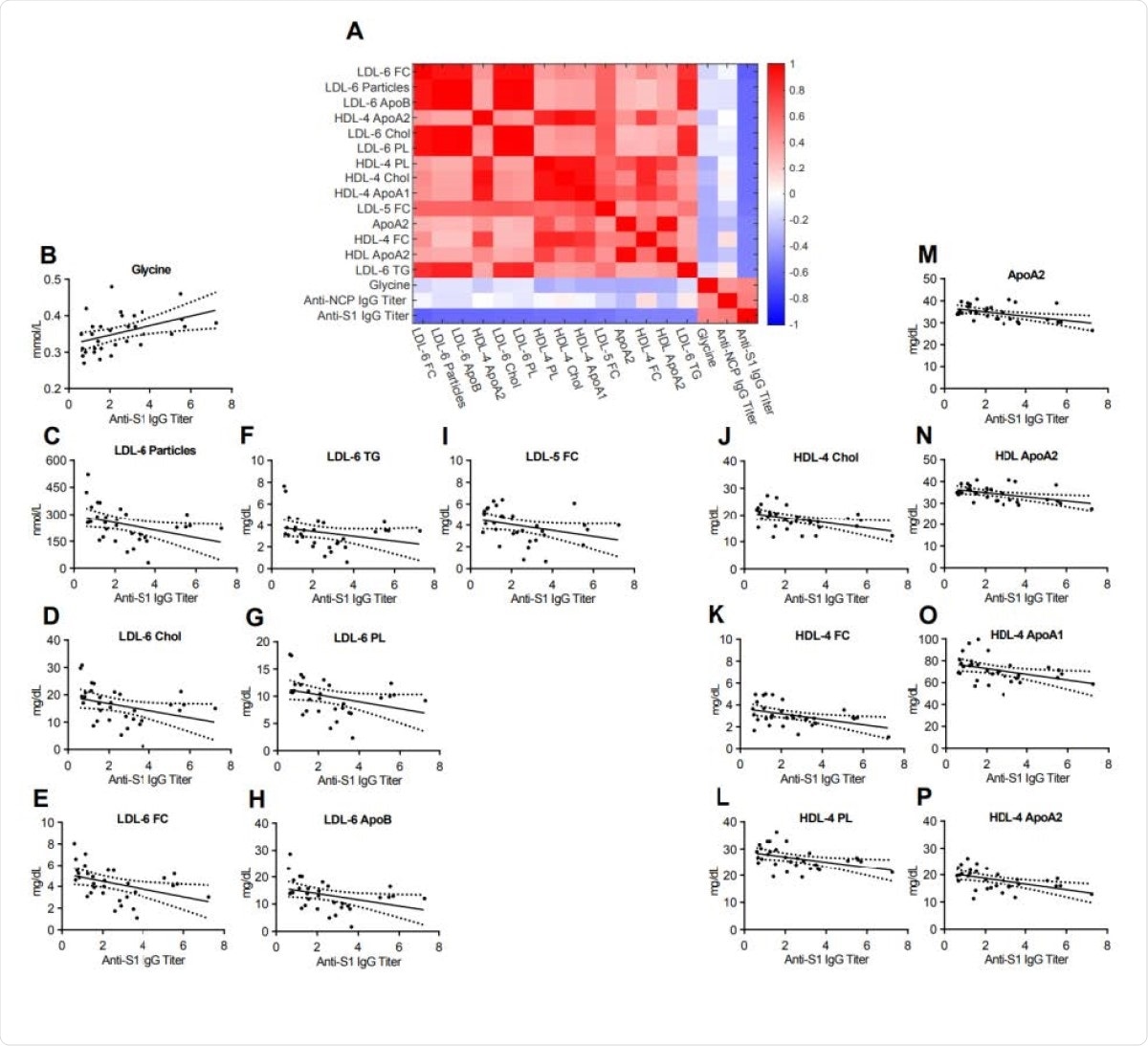 Heatmap correlating metabolite and lipoprotein levels against the Anti-S1 IgG titer for individuals who tested positive for Anti-SARS-CoV-2 antibodies (Anti-S1 IgG+). B-P. Spearman correlation plots for the most significant individual metabolites or lipoproteins against the Anti-S1 IgG titer (p- values in supplementary table).