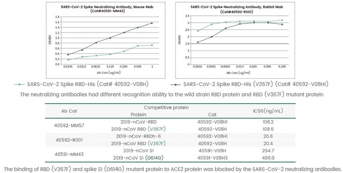 The recognition of SARS-CoV-2 neutralizing antibody to non-mutant and mutant proteins and the competitive neutralization ability by ELISA.
