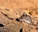 Study shows several peridomestic mammal species are potential spreaders of SARS-CoV-2