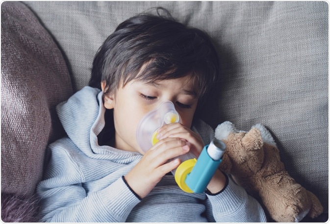 Image Credit: Ann in the uk / Shutterstock