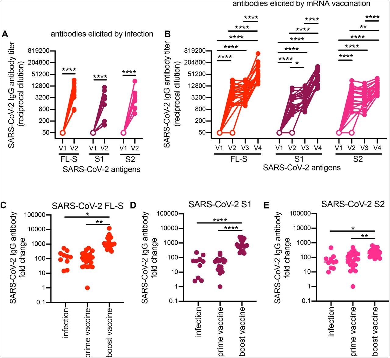 Specificity of SARS-CoV-2 antibodies induced after SARS-CoV-2 infection versus vaccination. ELISAs were completed to quantify levels of serum antibodies binding to the SARS-CoV-2 full-length spike (FL-S) protein, the S1 domain (S1) of S, and the S2 domain (S2) of S after SARS-CoV-2 infection (A) and mRNA vaccination (B). Paired t-tests of log2 transformed antibody titers ****p<0.0001, ***p<0.001, **p<0.01, *p<0.05. We calculated fold-change in antibody titers before and after seroconversion and pre-/post-prime and boost doses of a SARS-CoV-2 mRNA vaccine (C-E). One way ANOVA of antibody fold change ****p<0.0001, **p<0.01 *p<0.05. Horizontal lines indicate geometric mean and error bars represent standard deviation.