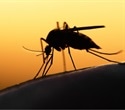 Single-dose malaria treatment using four drugs achieves high cure rates in clinical trial