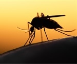 Breakthrough studies that could lead to a new means of combating malaria